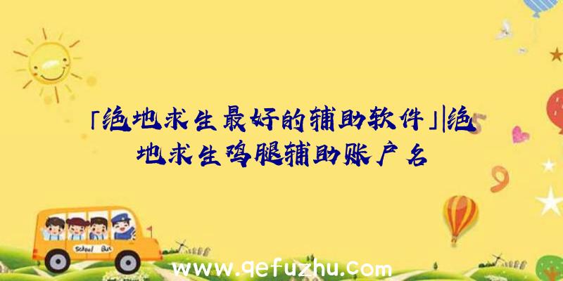 「绝地求生最好的辅助软件」|绝地求生鸡腿辅助账户名